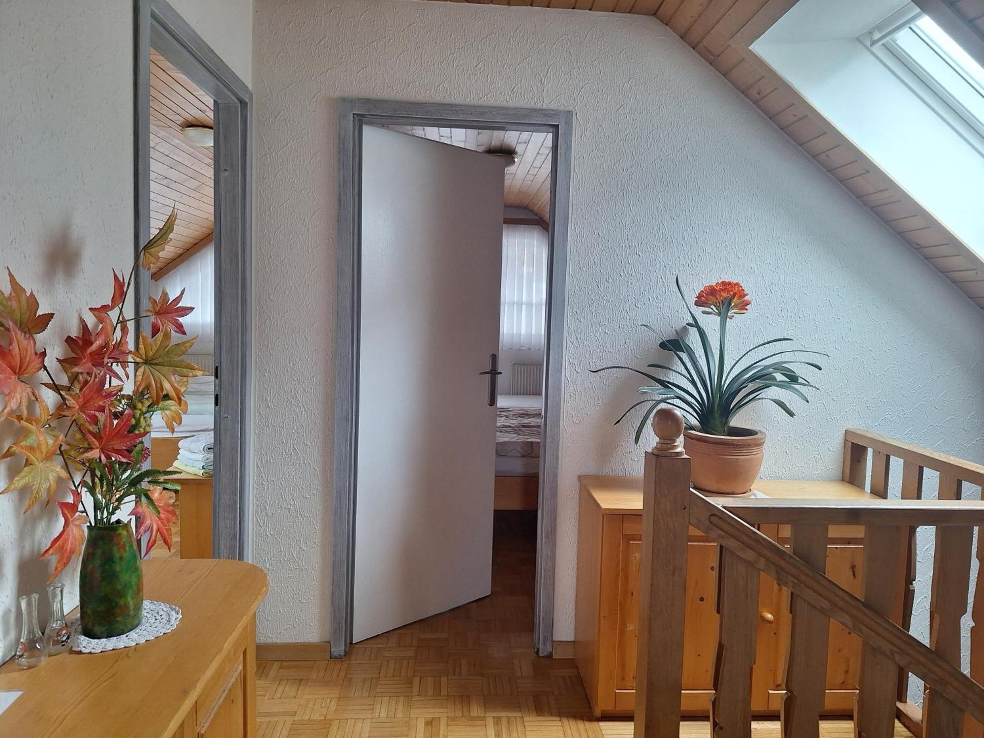 Apartmaji Marinka Hodnik Bohinj Exteriör bild