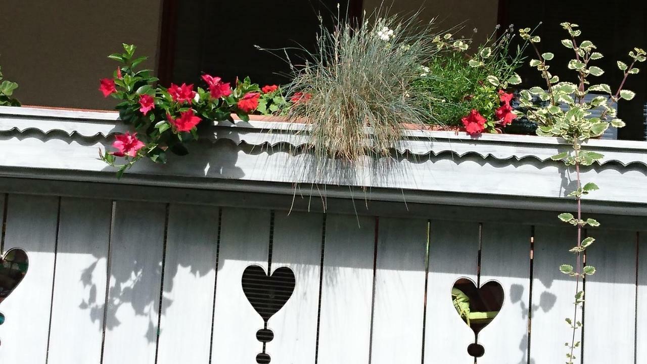 Apartmaji Marinka Hodnik Bohinj Exteriör bild